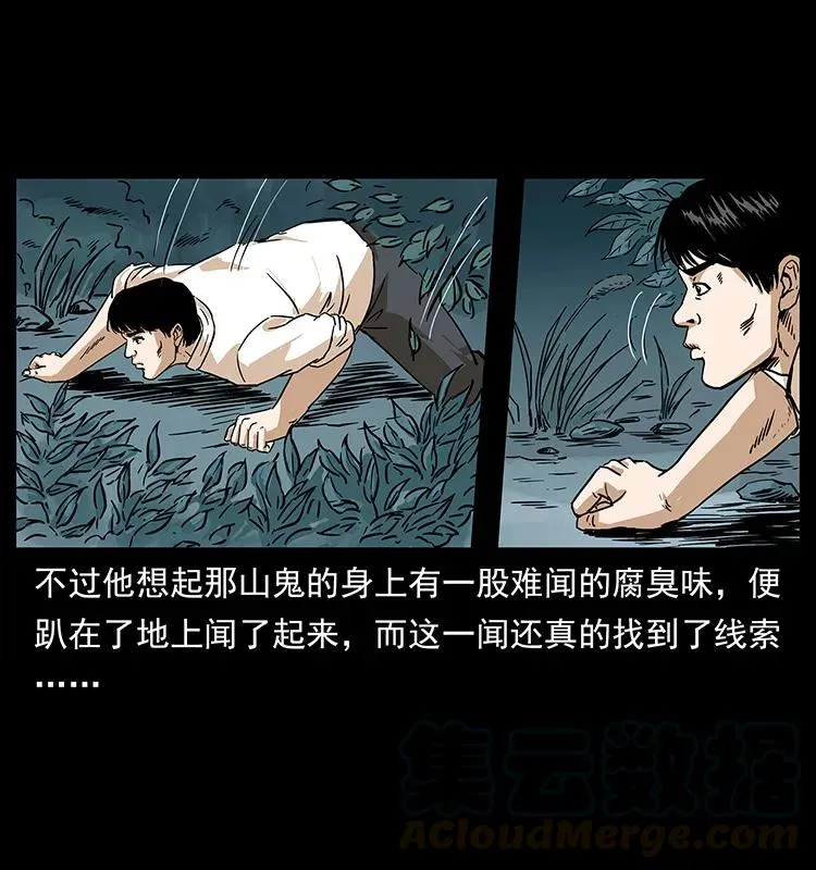 231 东海木龙 第17页