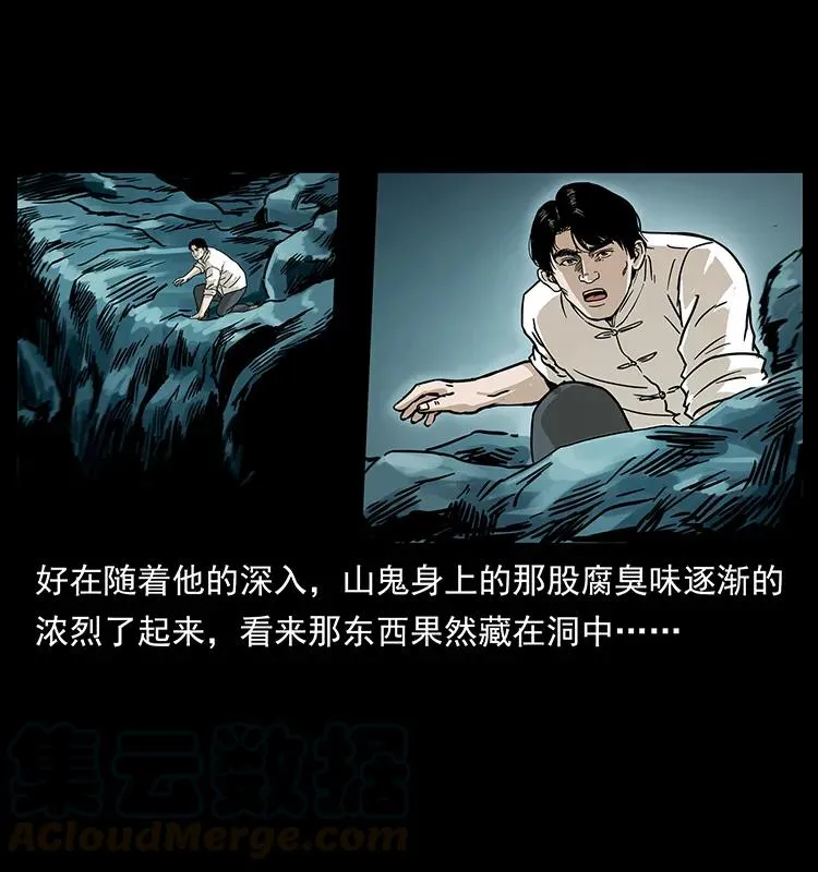 231 东海木龙 第21页