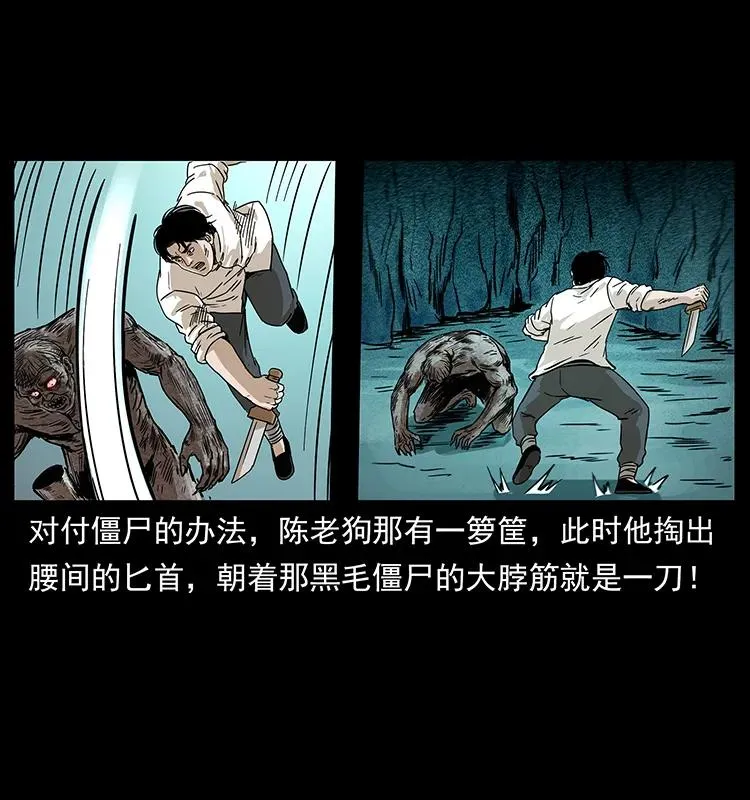 231 东海木龙 第24页
