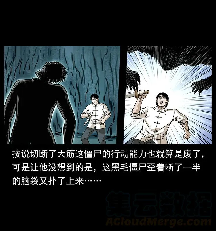 231 东海木龙 第25页