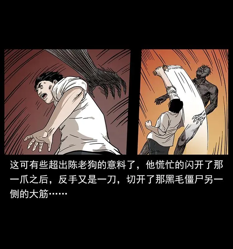 231 东海木龙 第26页