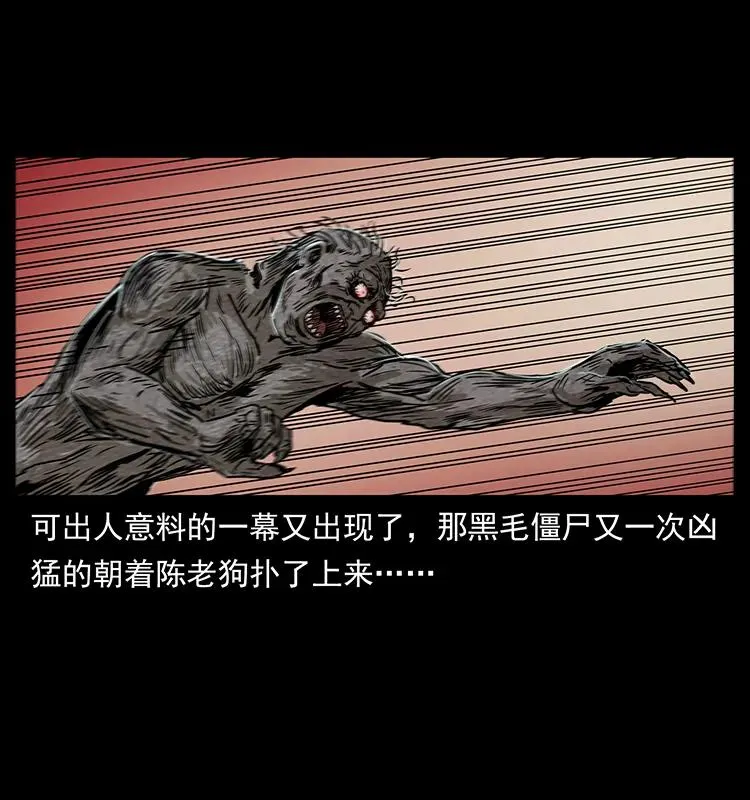 231 东海木龙 第28页