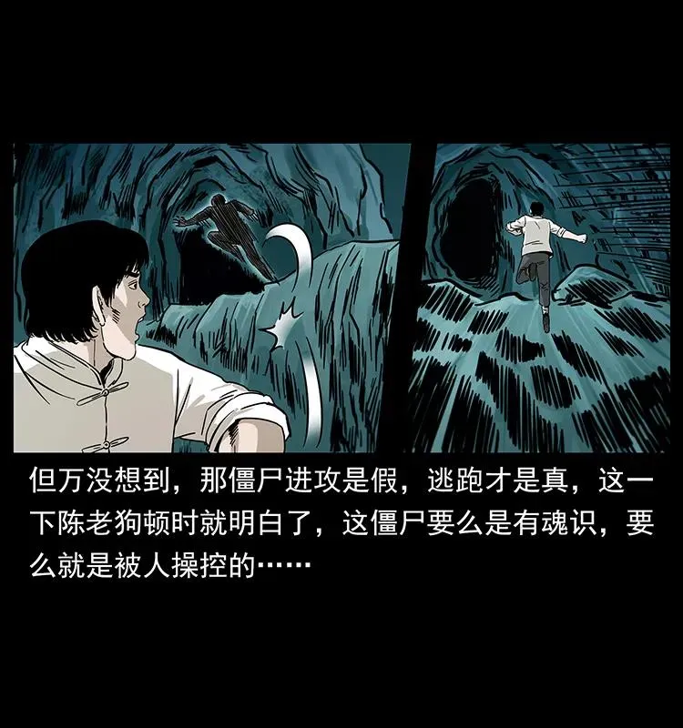 231 东海木龙 第31页