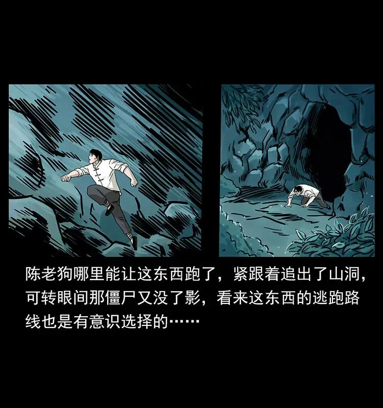231 东海木龙 第32页