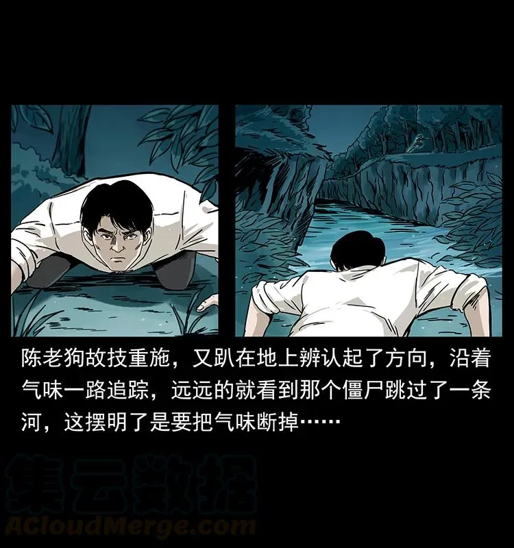 231 东海木龙 第33页