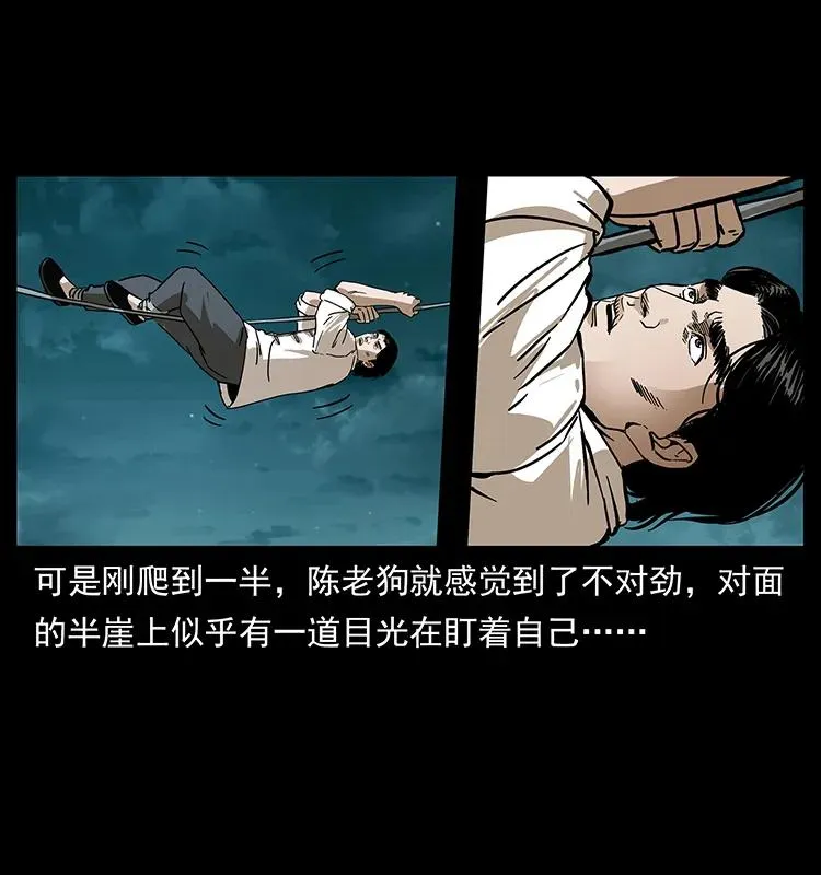 231 东海木龙 第36页