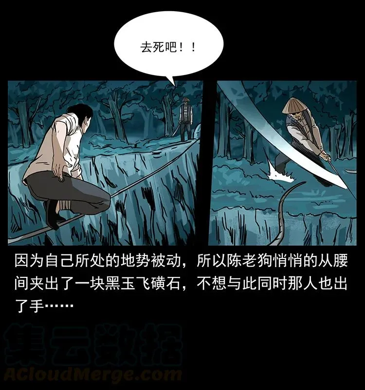 231 东海木龙 第41页