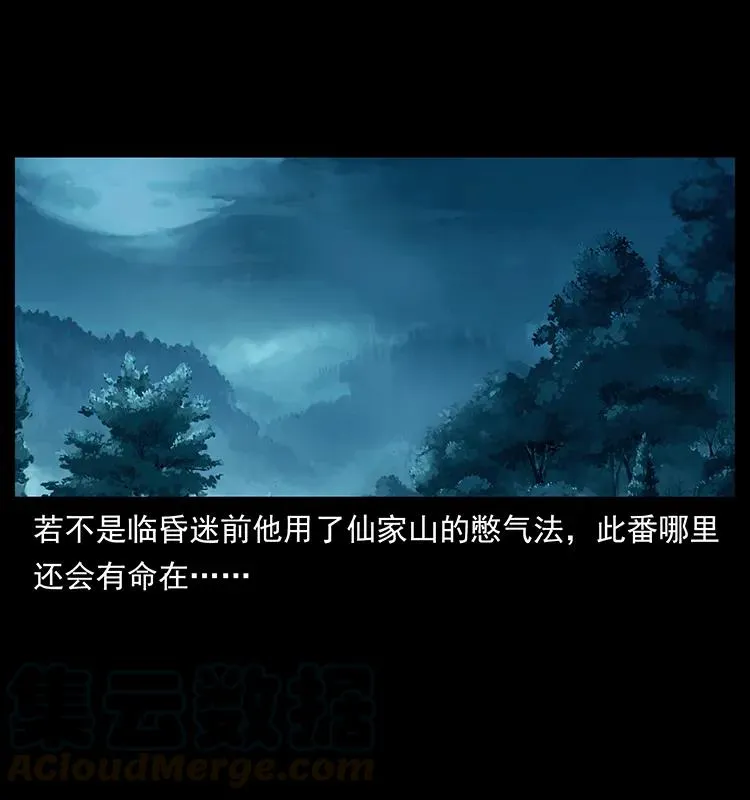 231 东海木龙 第49页