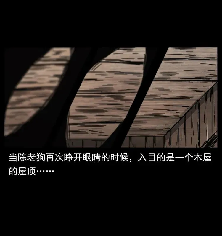 231 东海木龙 第50页