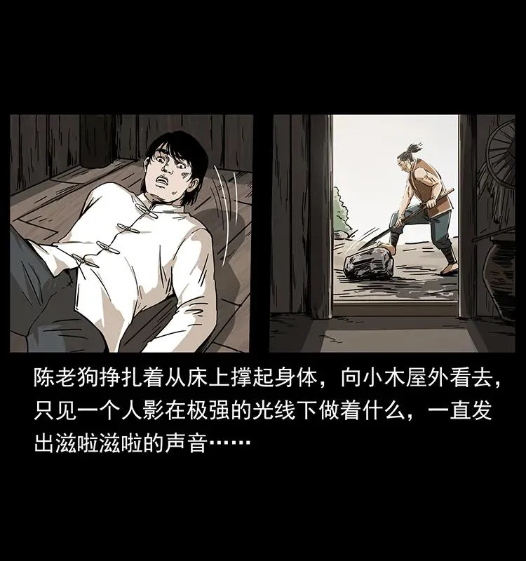 231 东海木龙 第52页