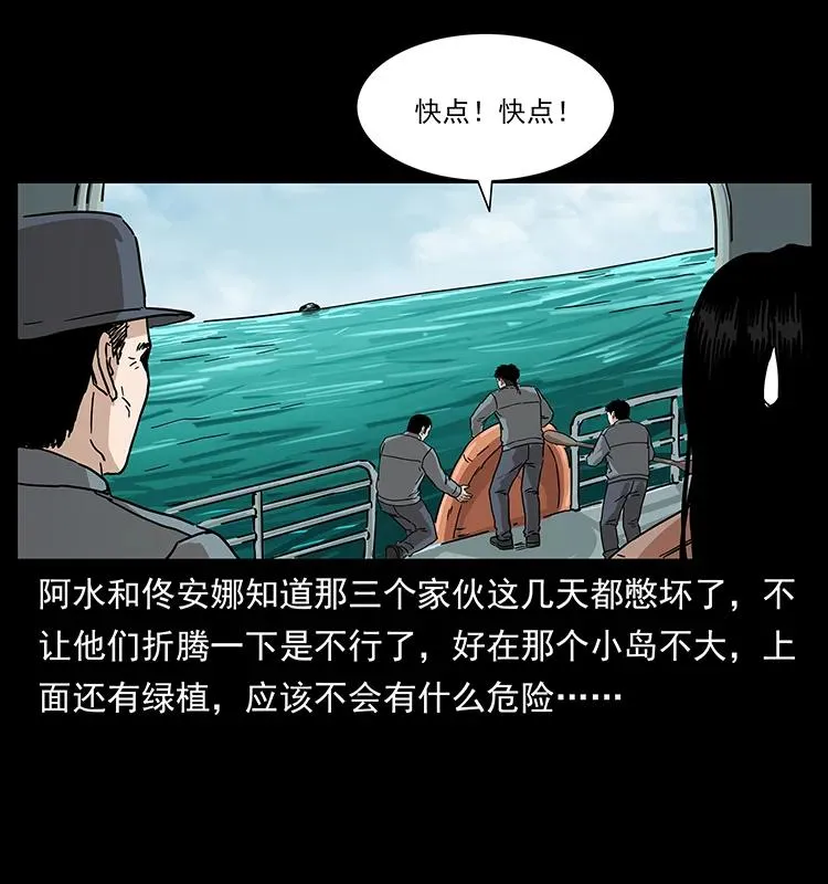 236 神秘的小岛 第28页