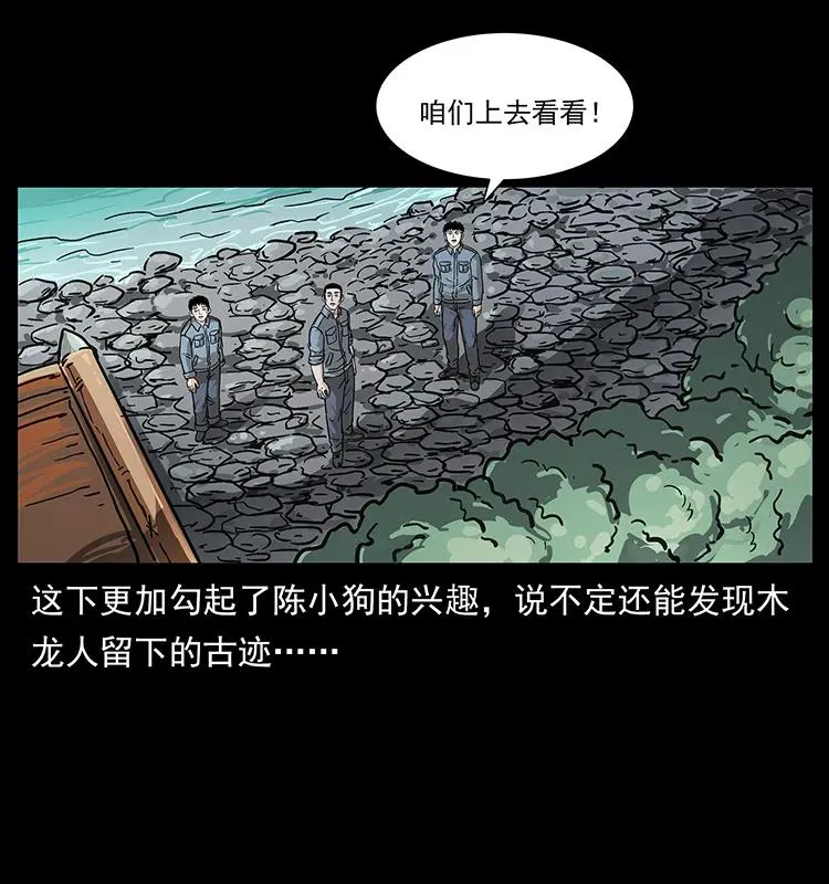 236 神秘的小岛 第36页