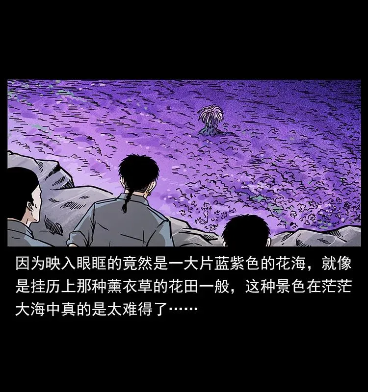 236 神秘的小岛 第38页
