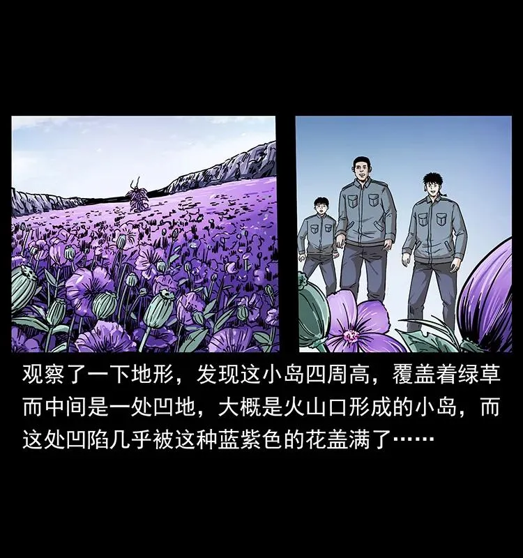 236 神秘的小岛 第39页
