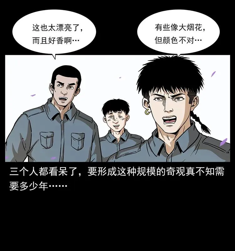 236 神秘的小岛 第40页