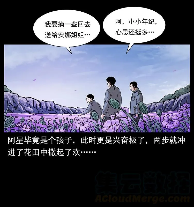 236 神秘的小岛 第41页