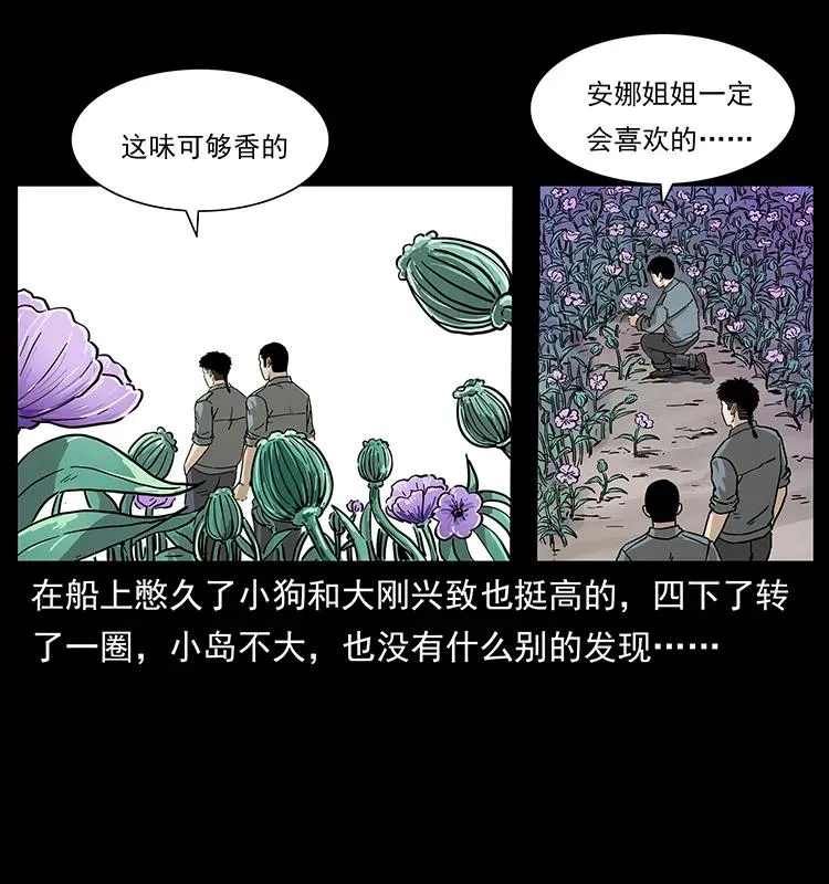 236 神秘的小岛 第42页