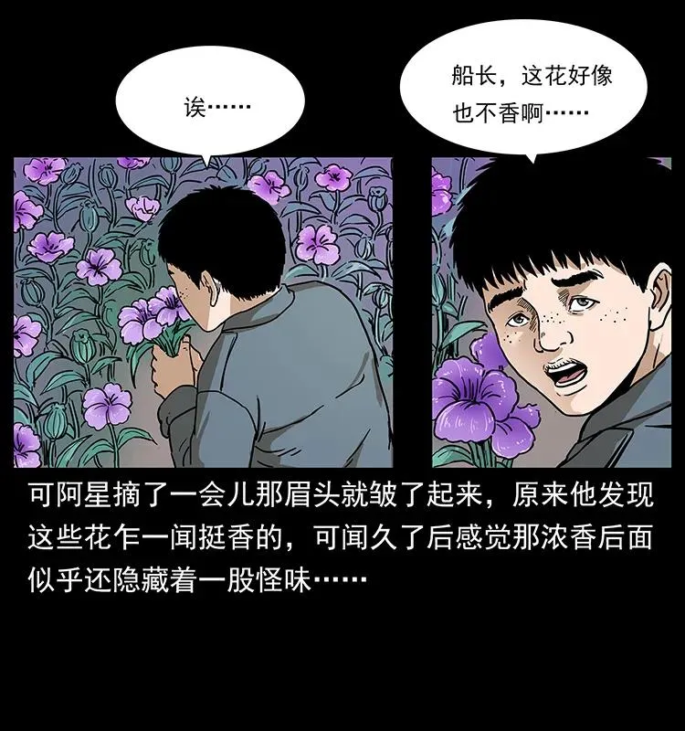 236 神秘的小岛 第43页