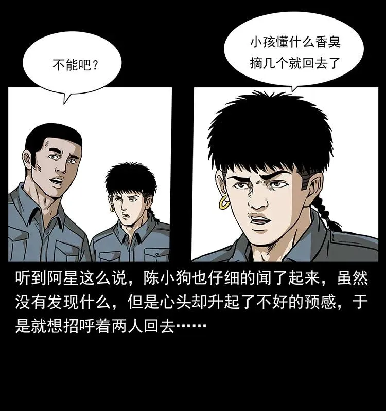 236 神秘的小岛 第44页