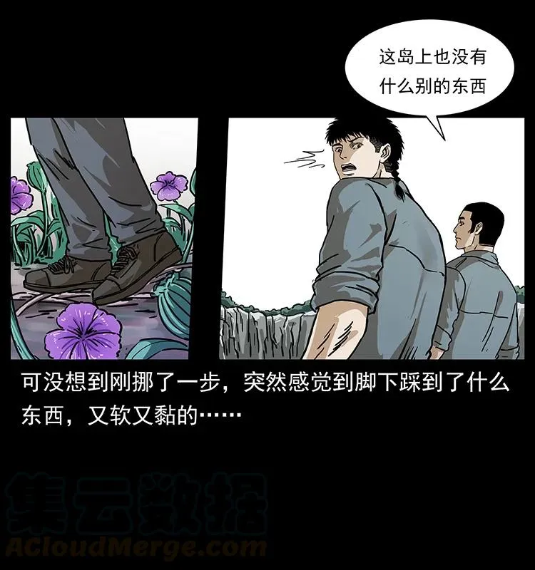 236 神秘的小岛 第45页