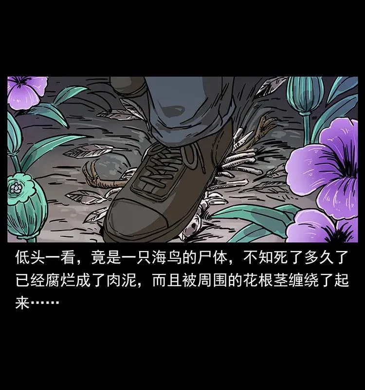 236 神秘的小岛 第46页
