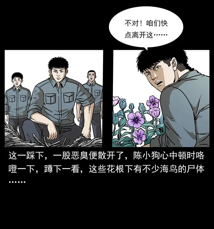 236 神秘的小岛 第47页