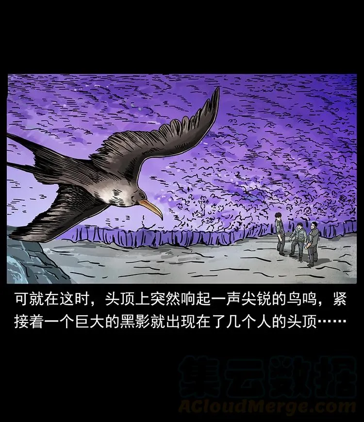 236 神秘的小岛 第49页