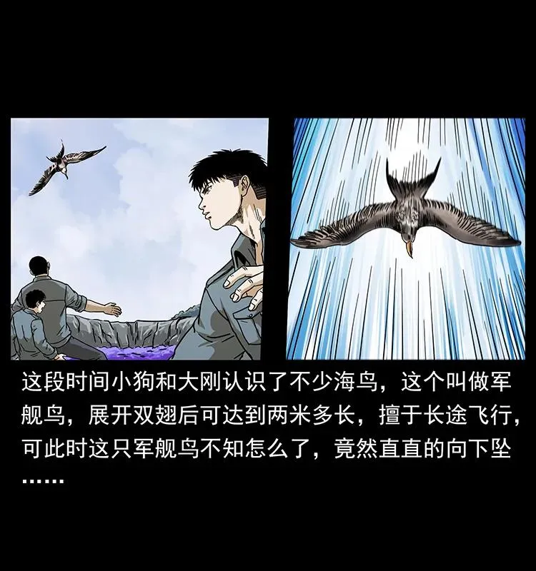 236 神秘的小岛 第50页