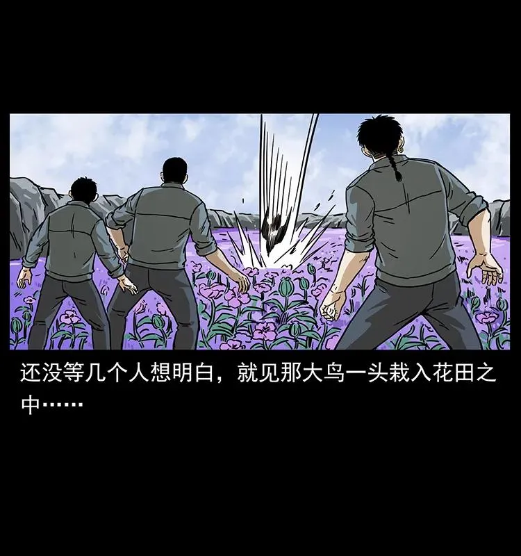 236 神秘的小岛 第51页
