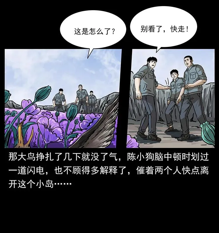236 神秘的小岛 第52页