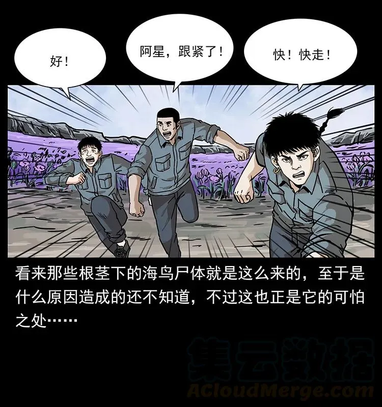 236 神秘的小岛 第53页