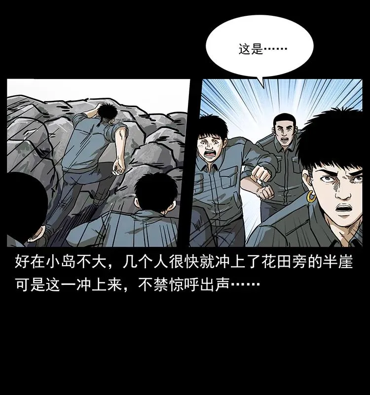 236 神秘的小岛 第54页