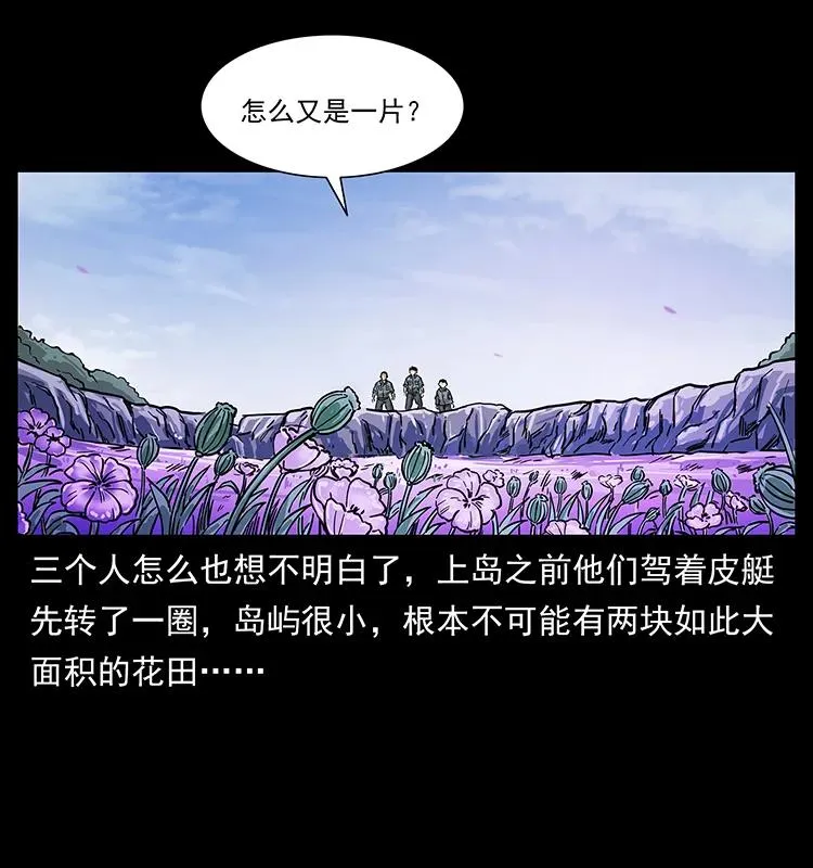 236 神秘的小岛 第56页
