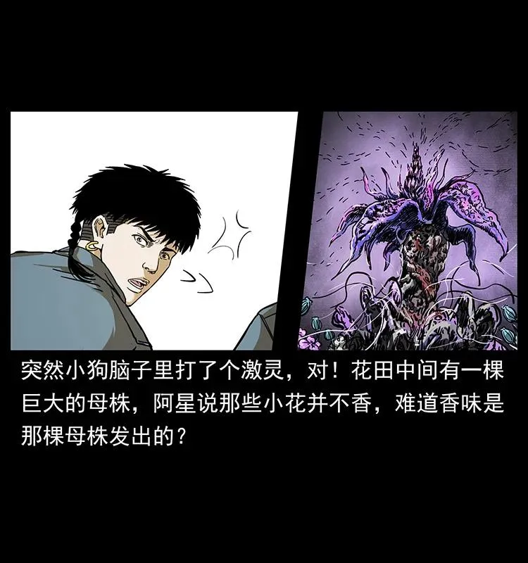 236 神秘的小岛 第58页