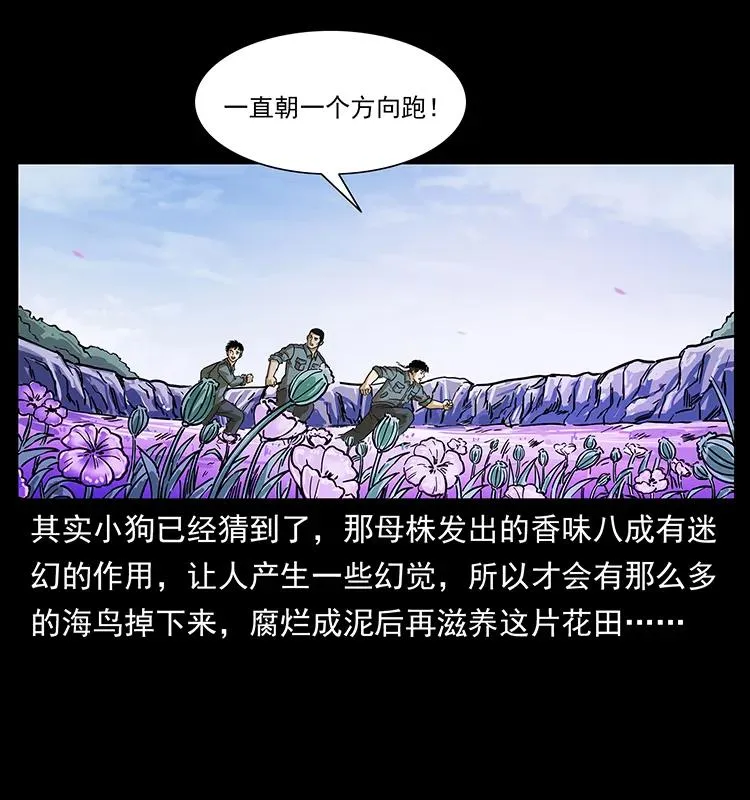 236 神秘的小岛 第60页