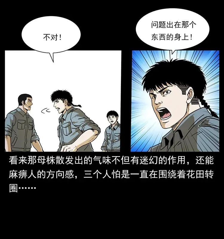 236 神秘的小岛 第63页