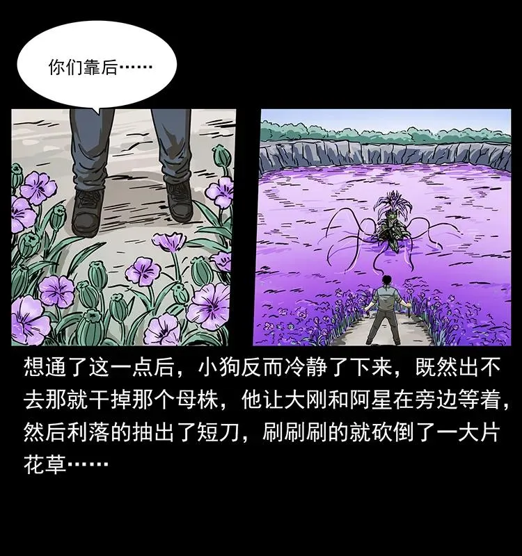236 神秘的小岛 第64页