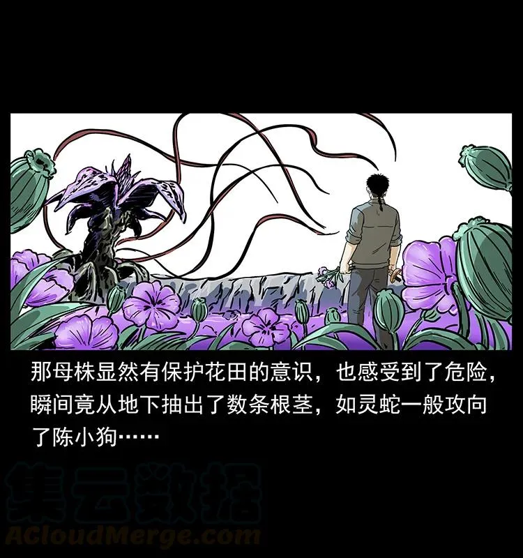 236 神秘的小岛 第65页