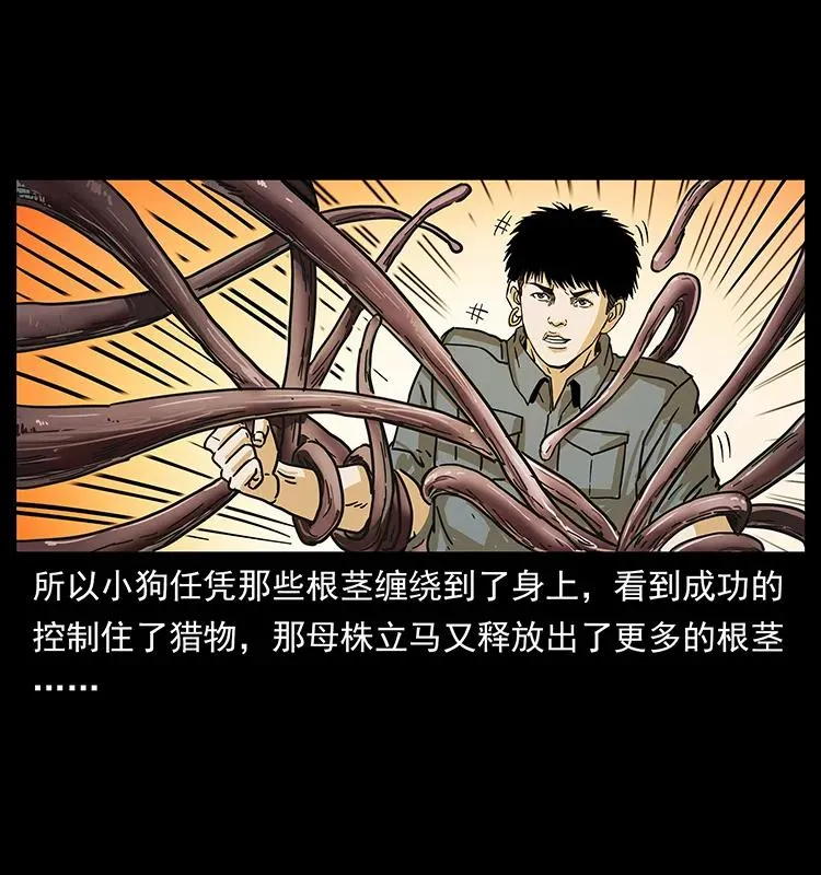 236 神秘的小岛 第67页