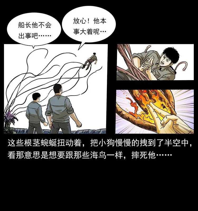 236 神秘的小岛 第68页