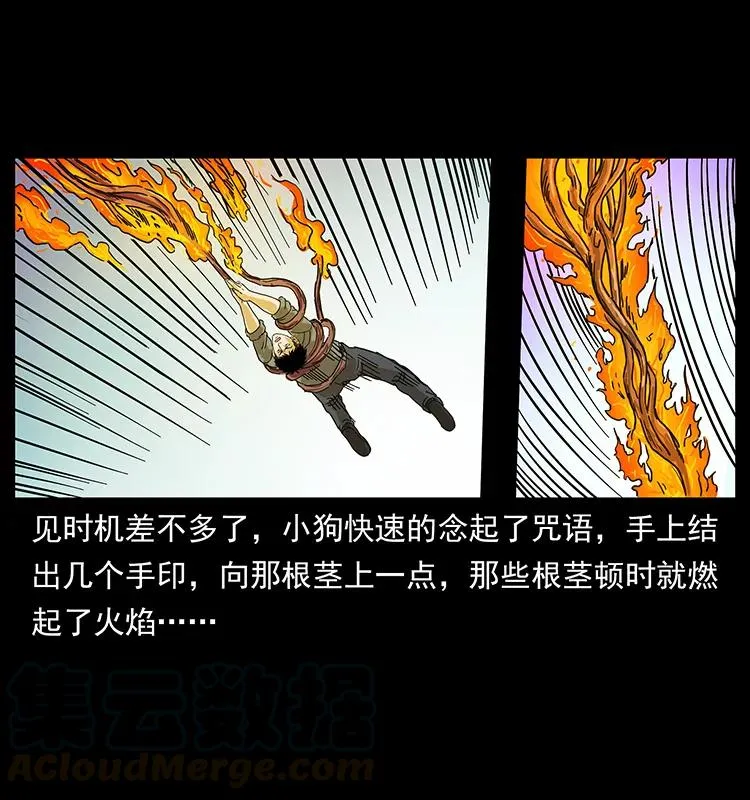 236 神秘的小岛 第69页