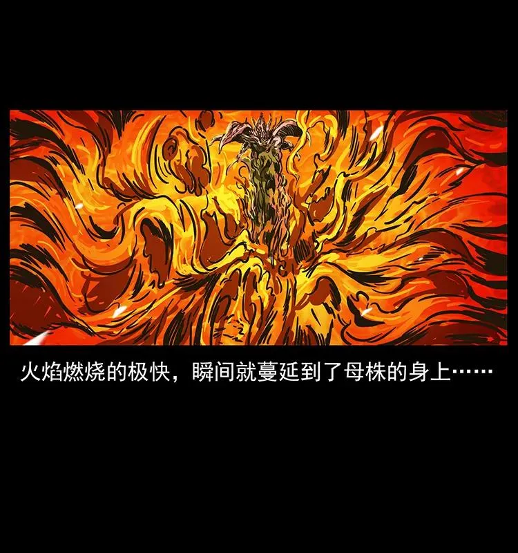 236 神秘的小岛 第70页