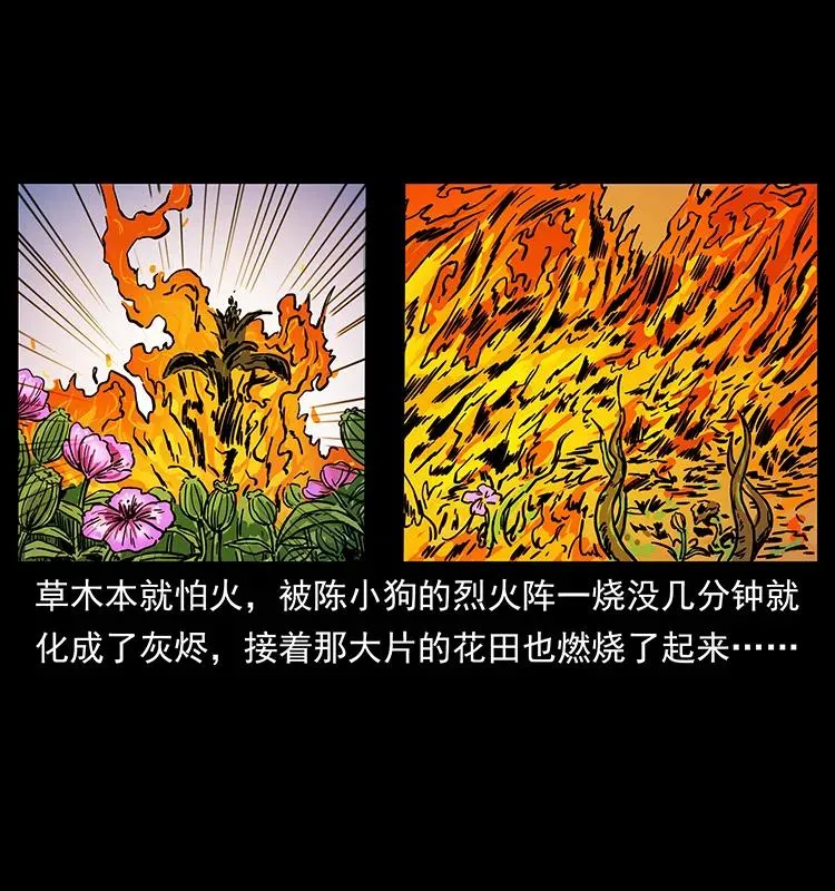 236 神秘的小岛 第71页