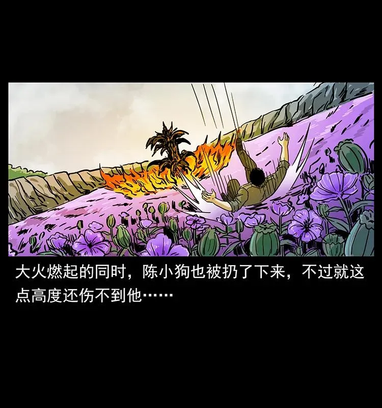 236 神秘的小岛 第72页