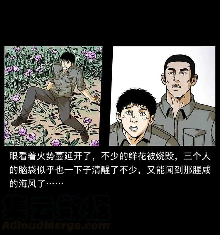236 神秘的小岛 第73页