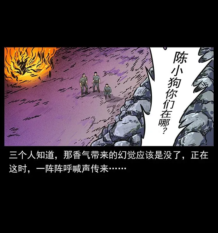 236 神秘的小岛 第74页