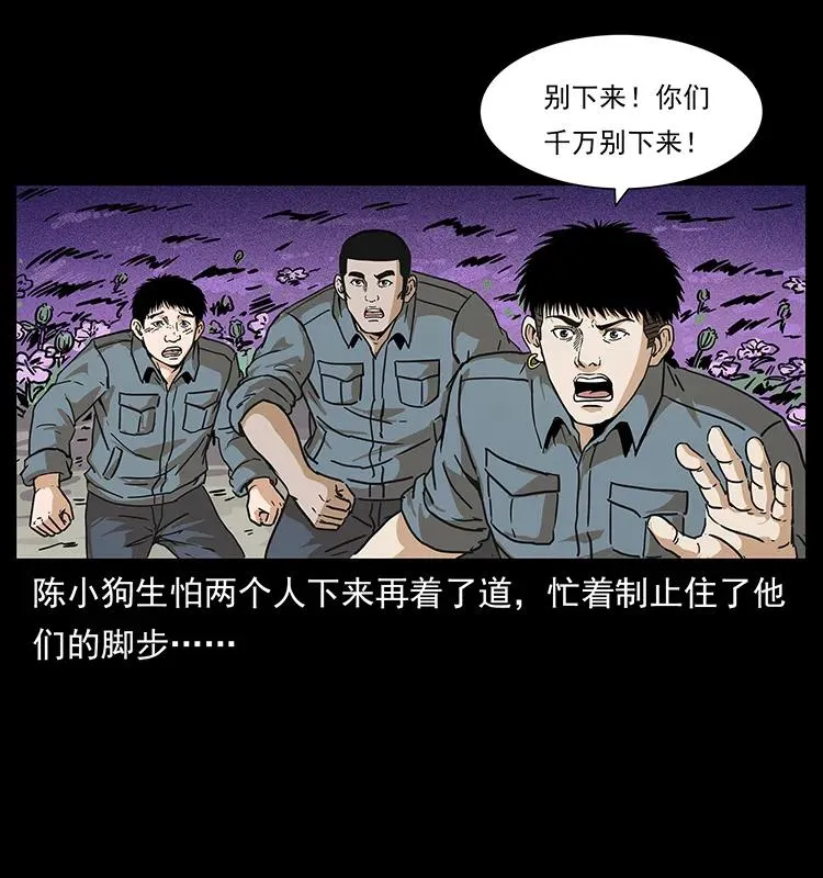 236 神秘的小岛 第76页
