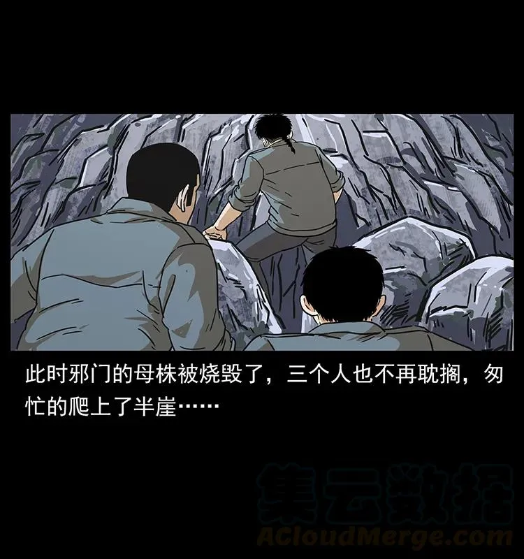 236 神秘的小岛 第77页