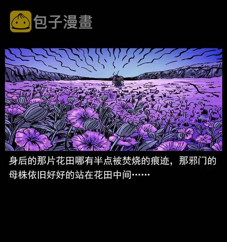236 神秘的小岛 第79页