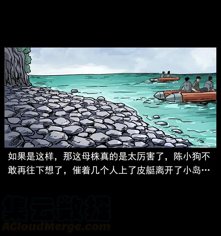 236 神秘的小岛 第81页